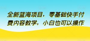 全新蓝海项目，零基础快手付费内容教学，小白也可以操作【揭秘】-88共享