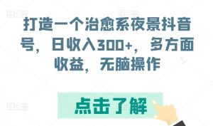 打造一个治愈系夜景抖音号,日收入300+,多方面收益,无脑操作【揭秘】-88共享