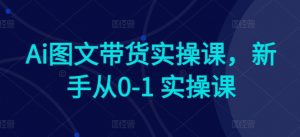 Ai图文带货实操课,新手从0-1 实操课-88共享