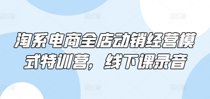 淘系电商全店动销经营模式特训营，线下课录音-88共享