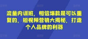 流量内训班,相信爆款是可以重复的,短视频营销大揭秘,打造个人品牌的利器-88共享