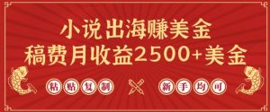 小说出海赚美金,稿费月收益2500+美金,仅需chatgpt粘贴复制,新手也能玩转【揭秘】-88共享