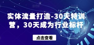 实体流量打造-30天特训营,30天成为行业标杆-88共享