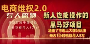 电商维权 4.0 如何做到月入 5 万+每天 1 小时新人也能快速上手【仅揭秘】-88共享