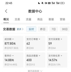 拼多多虚拟U盘电商红利项目:月赚2万+,新手小白也能玩-88共享