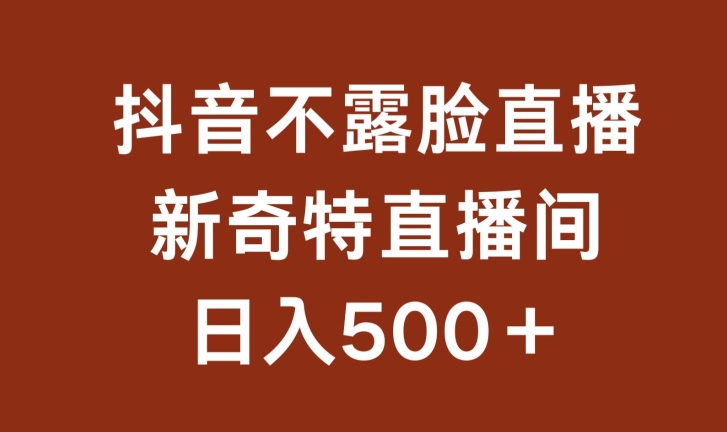 不露脸挂机直播，新奇特直播间，日入500+【揭秘】-88共享