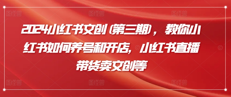 2024小红书文创(第三期)，教你小红书如何养号和开店，小红书直播带货卖文创等-88共享