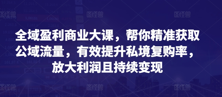 全域盈利商业大课，帮你精准获取公域流量，有效提升私境复购率，放大利润且持续变现-88共享