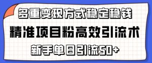 精准项目粉高效引流术，新手单日引流50+，多重变现方式稳定赚钱【揭秘】-88共享