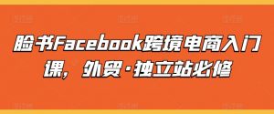 脸书Facebook跨境电商入门课，外贸·独立站必修-88共享