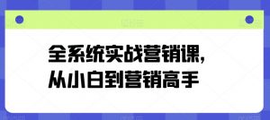 全系统实战营销课,从小白到营销高手-88共享