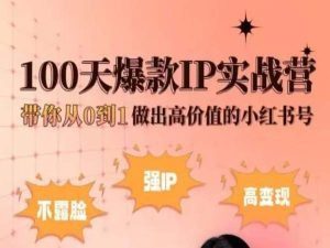小红书100天爆款IP实战营,带你从0到1做出高价值的小红书号-88共享