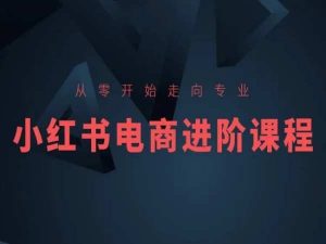 从零开始走向专业，小红书电商进阶课程-88共享