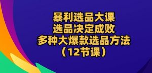 暴利选品大课：选品决定成败，教你多种大爆款选品方法(12节课)-88共享