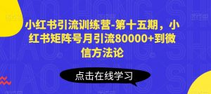 小红书引流训练营-第十五期,小红书矩阵号月引流80000+到微信方法论-88共享