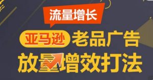 亚马逊流量增长-老品广告放量增效打法,循序渐进,打造更多TOP listing-88共享