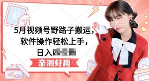 5月视频号野路子搬运，软件操作轻松上手，日入三位数【揭秘】-88共享