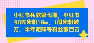 小红书私教第七期,小红书90天涨粉18w,1周涨粉破万,半年矩阵号粉丝破百万-88共享