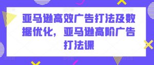 亚马逊高效广告打法及数据优化,亚马逊高阶广告打法课-88共享