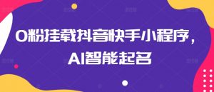0粉挂载抖音快手小程序，AI智能起名-88共享