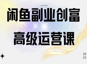 闲鱼电商运营高级课程，一部手机学会闲鱼开店赚钱-88共享