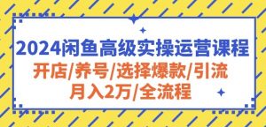 2024闲鱼高级实操运营课程:开店/养号/选择爆款/引流/月入2万/全流程-88共享