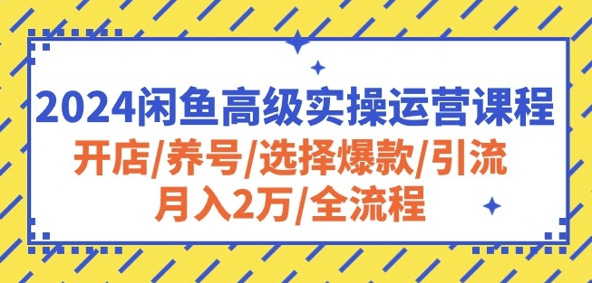 2024闲鱼高级实操运营课程：开店/养号/选择爆款/引流/月入2万/全流程-88共享