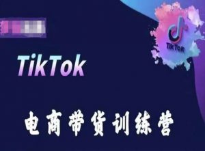 TikTok电商带货训练营，跟随时代潮流，跨境掘金-88共享