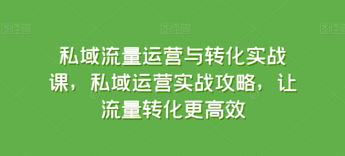 私域流量运营与转化实战课，私域运营实战攻略，让流量转化更高效-88共享
