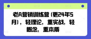 老A营销训练营(更24年5月),轻理论,重实战,轻概念,重本质-88共享