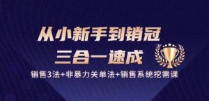 从小新手到销冠 三合一速成:销售3法+非暴力关单法+销售系统挖需课 (27节)-88共享
