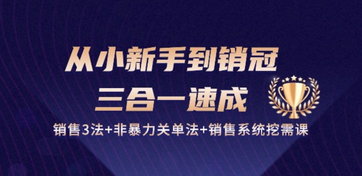 从小新手到销冠 三合一速成：销售3法+非暴力关单法+销售系统挖需课 (27节)-88共享