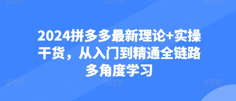2024拼多多最新理论+实操干货，从入门到精通全链路多角度学习-88共享