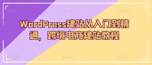 WordPress建站从入门到精通,跨境电商建站教程-88共享