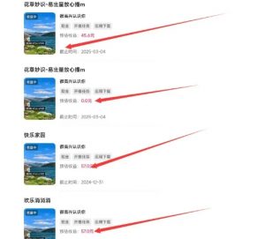 磁力聚星游戏副业陪跑训练营1.0,长期稳定项目,有人一周干了1K+-88共享