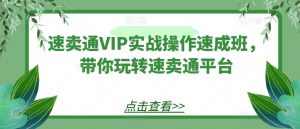 速卖通VIP实战操作速成班,带你玩转速卖通平台-88共享