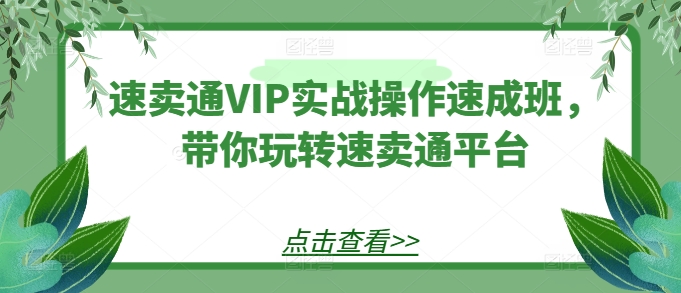 速卖通VIP实战操作速成班，带你玩转速卖通平台-88共享