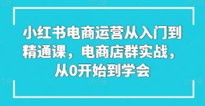 小红书电商运营从入门到精通课，电商店群实战，从0开始到学会-88共享