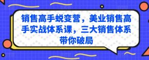 销售高手蜕变营,美业销售高手实战体系课,三大销售体系带你破局-88共享