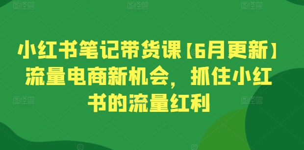 小红书笔记带货课【6月更新】流量电商新机会，抓住小红书的流量红利-88共享