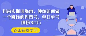 抖音实训训练营,教你如何做一个赚钱的抖音号,单日单号增粉30万-88共享