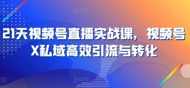 21天视频号直播实战课，视频号X私域高效引流与转化-88共享