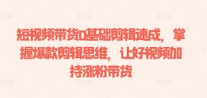 短视频带货0基础剪辑速成，掌握爆款剪辑思维，让好视频加持涨粉带货-88共享