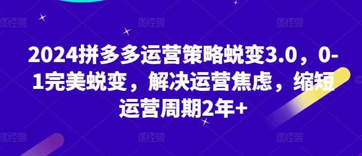 2024拼多多运营策略蜕变3.0，0-1完美蜕变，解决运营焦虑，缩短运营周期2年+-88共享