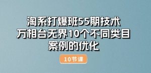 淘系打爆班55期技术：万相台无界10个不同类目案例的优化(10节)-88共享