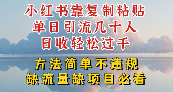 小红书靠复制粘贴单日引流几十人目收轻松过千，方法简单不违规【揭秘】-88共享