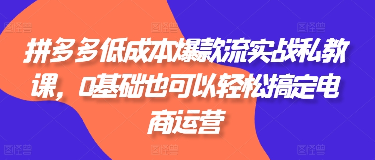 拼多多低成本爆款流实战私教课，0基础也可以轻松搞定电商运营-88共享