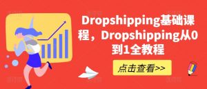 Dropshipping基础课程，Dropshipping从0到1全教程-88共享