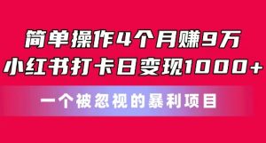 简单操作4个月赚9w,小红书打卡日变现1k,一个被忽视的暴力项目【揭秘】-88共享