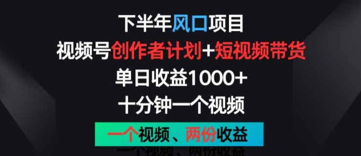 下半年风口项目，视频号创作者计划+视频带货，一个视频两份收益，十分钟一个视频【揭秘】-88共享